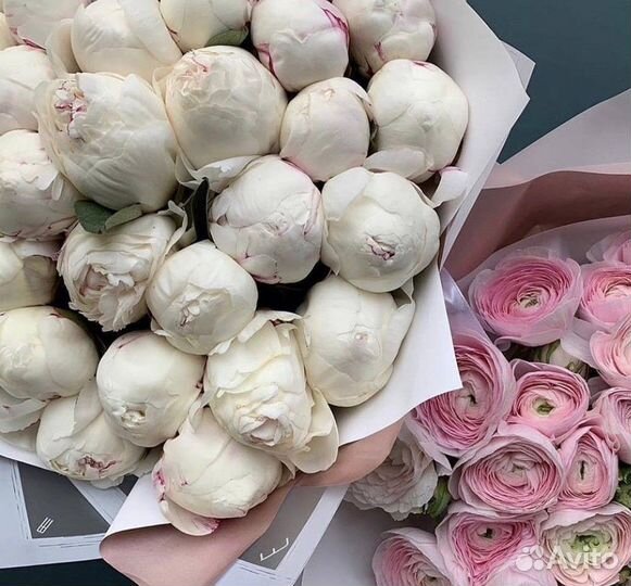 Пионы Букеты Цветы