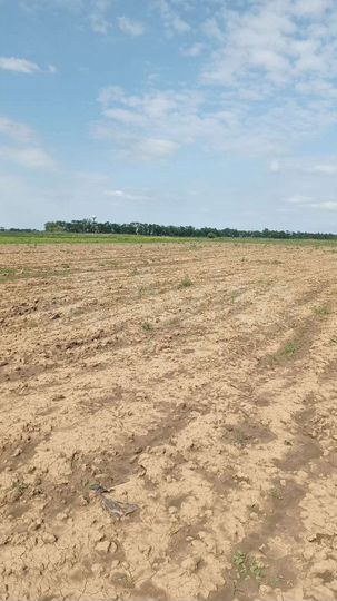 Участок 10 га (СНТ, ДНП)