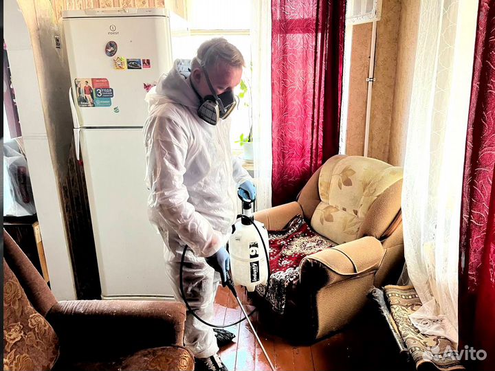 Уничтожение клопов, тараканов, мышей