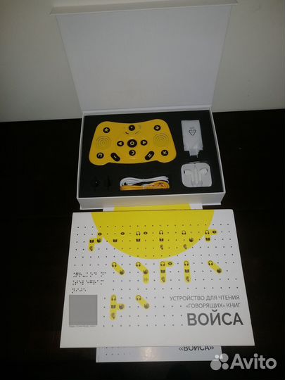 Тифлофлешплеер войса