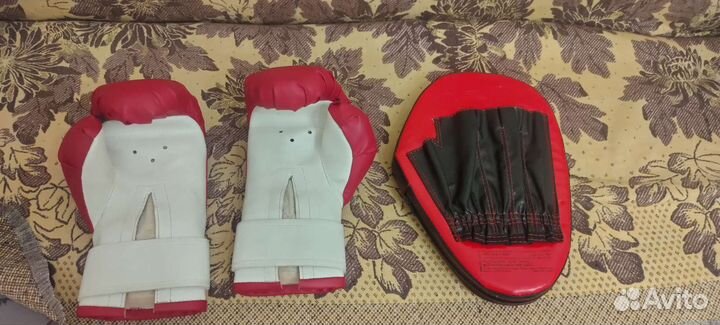 Лапа и детские перчатки для боевых искусств