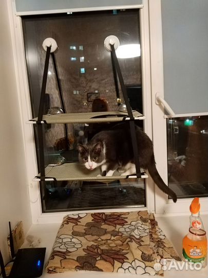 Гамак для кошек на окно