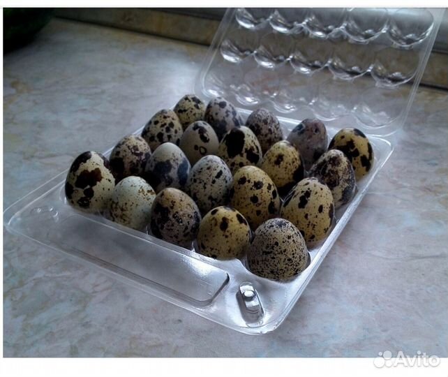 Яйцо перепелиное