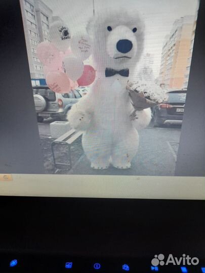 Аренда костюма мишки