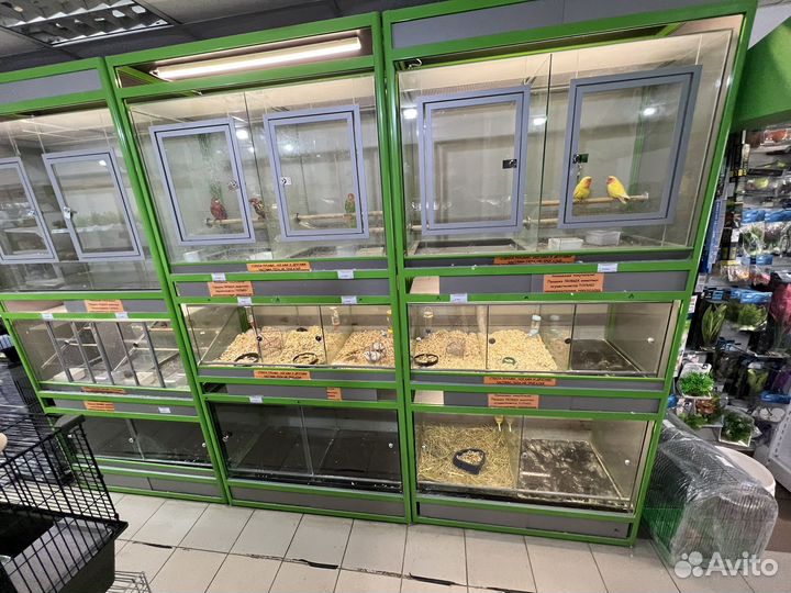Стойка для животных и птиц в магазин