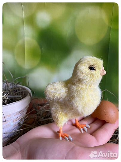 Мягкая игрушка цыпленок