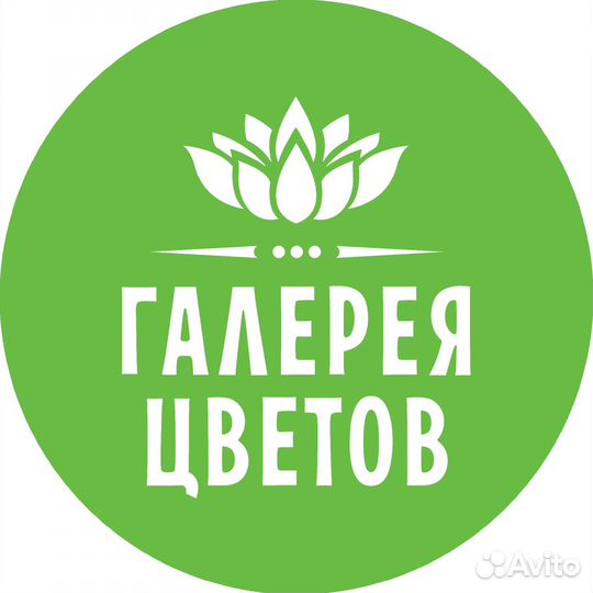 Ночной продавец цветов, подработка