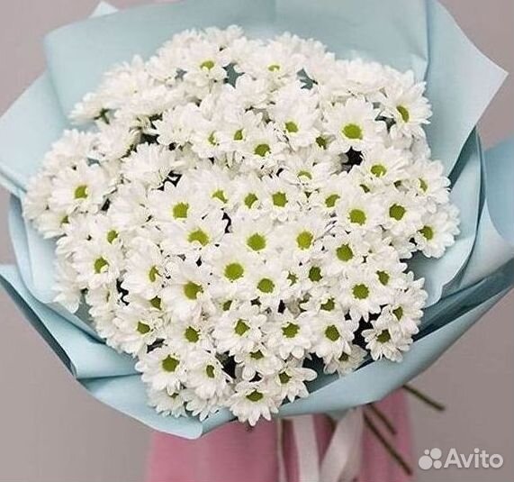 Хризантема Букеты с доставкой