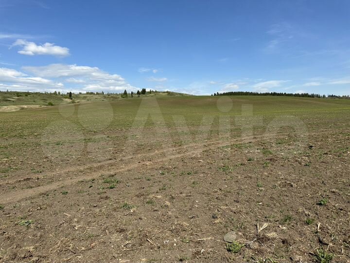 Участок 5,56 га (СНТ, ДНП)