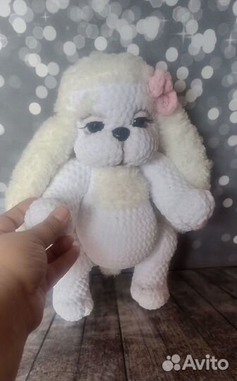 Собачка Леди