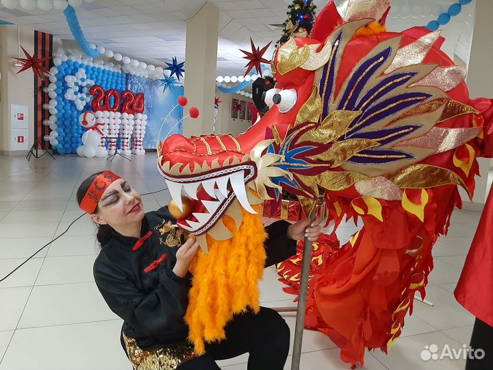 Китайский дракон 12 м