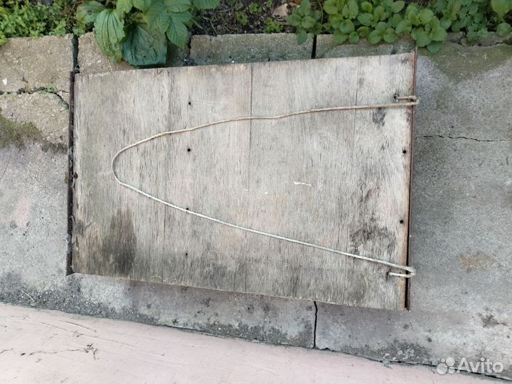 Сани