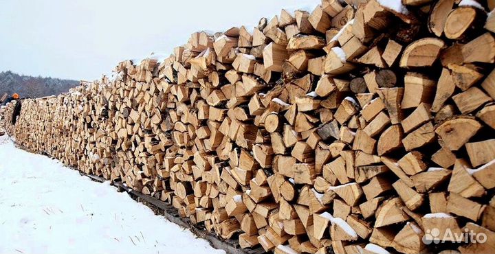 Дрова в Белоостров