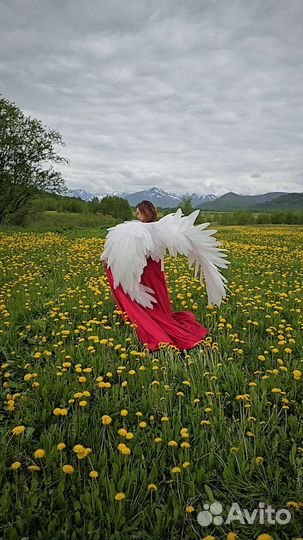 Крылья ангела продажа