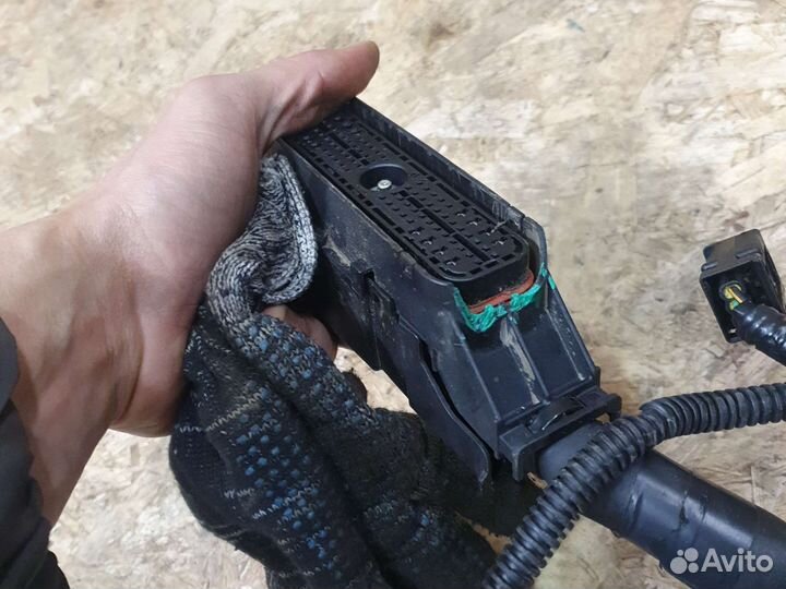 Проводка коса моторная форд фокус 2 1.6 100л.с