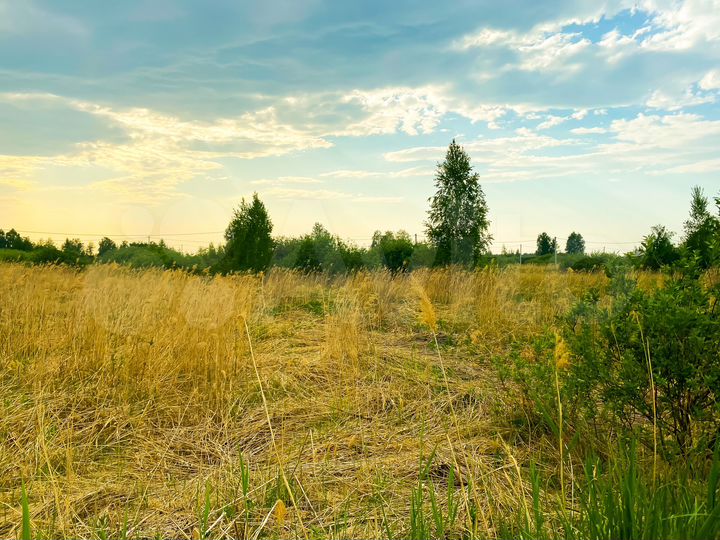 Участок 10 сот. (СНТ, ДНП)