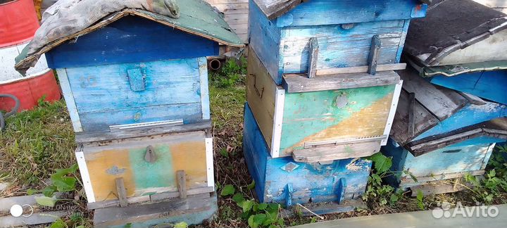 Улии 12 рамочные