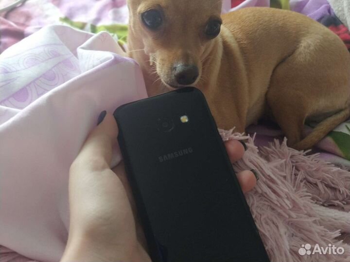 Samsung galaxy a3 2017