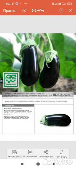 Семена баклажан