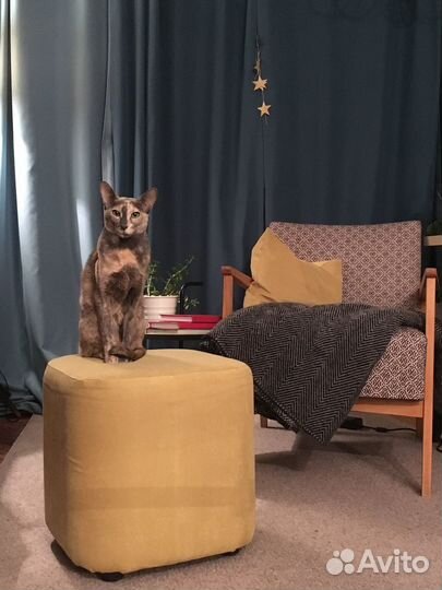 Синие шторы бу