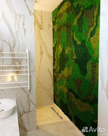 Стабилизированный мох производитель