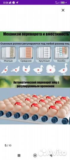 Инкубатор для яиц автоматический