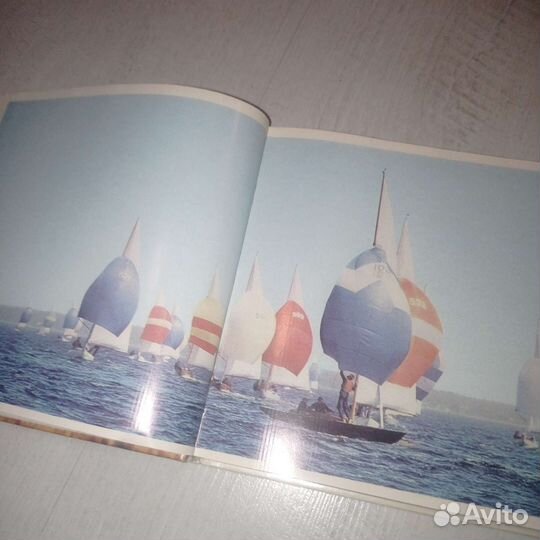 Янтарный берег. книга