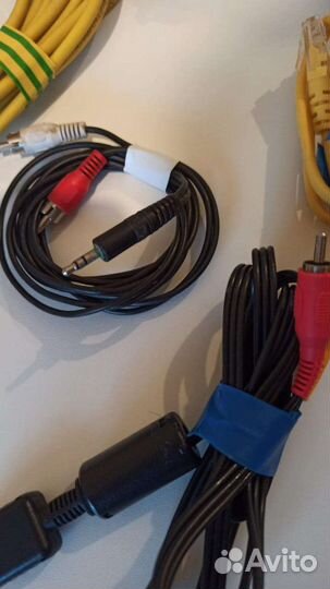 Тюльпаны провода