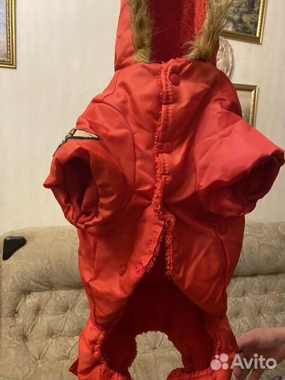 Комбинезон для собаки