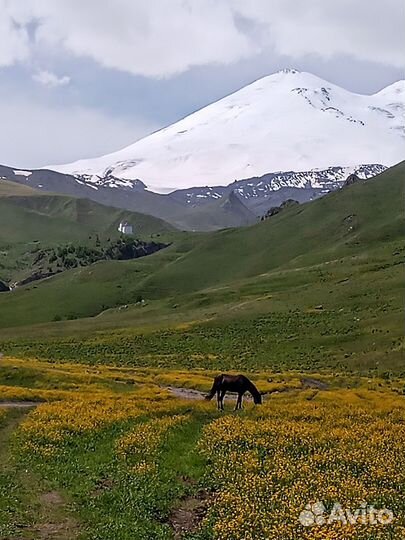 В горы на Хаммере из Кисловодска и Ессентуков