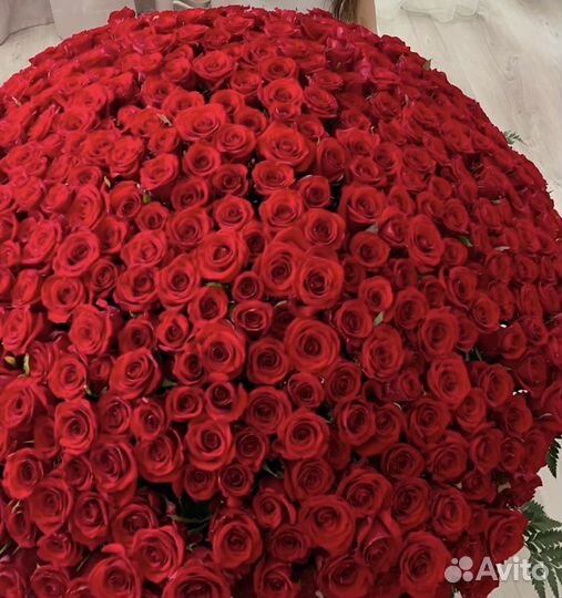 Букет 365 роз