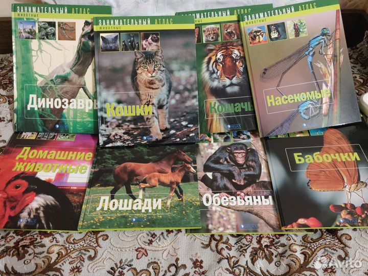 Энциклопедия животных