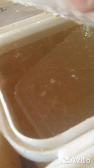 Мёд Цветочный оптом