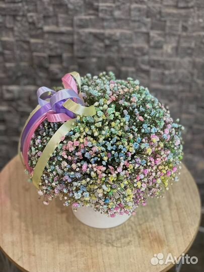 Гипсофила в коробке