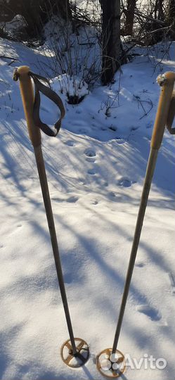 Лыжные палки