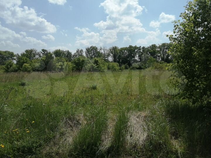 Участок 8 сот. (СНТ, ДНП)