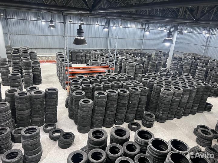 Dunlop Winter Maxx WM01 195/65 R15