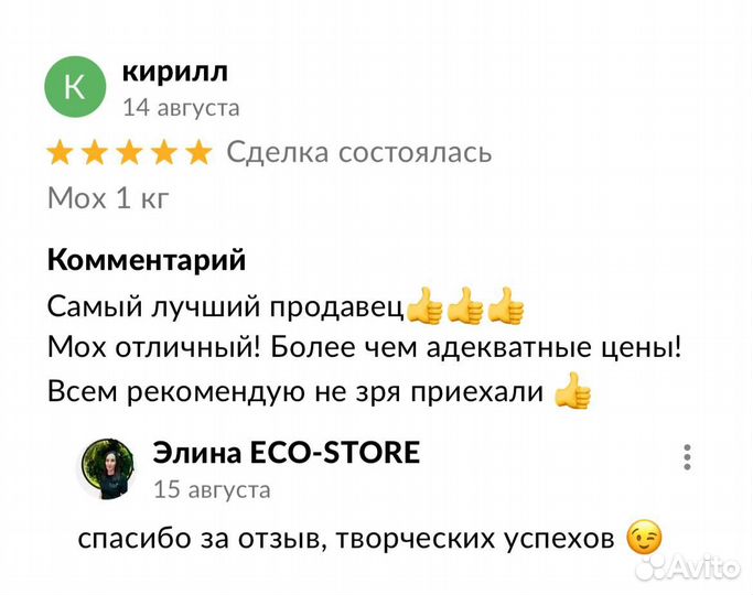 Карта мира из мха в гостиную