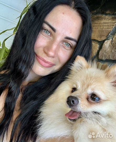 Передержка животных/ Приходящая зооняня