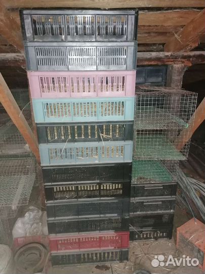 Оборудование для перевозки цыплят утят