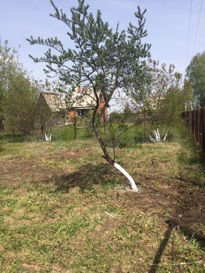 Участок 15 сот. (СНТ, ДНП)