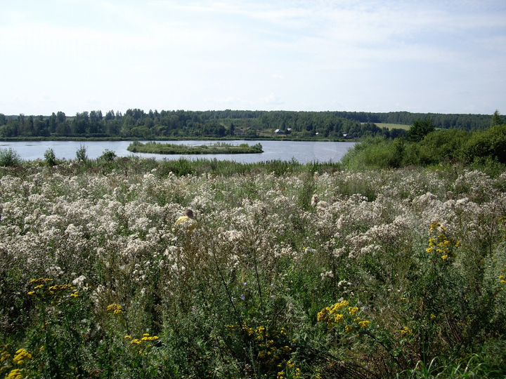 Участок 1,75 га (ИЖС)