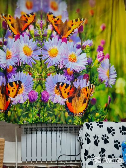 Фотошторы короткие