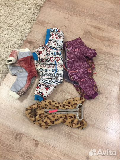 Одежда для мелких пород