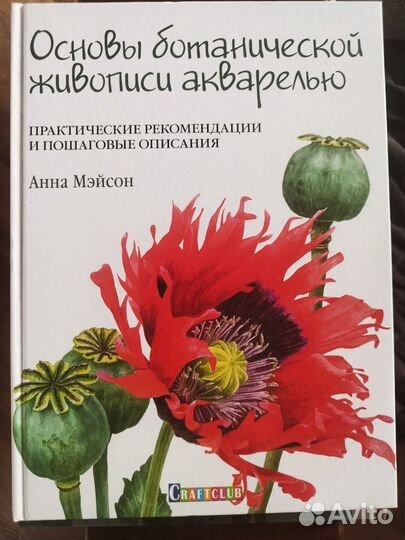 Курс Вероники Калачевой,Ботаническая иллюстрация