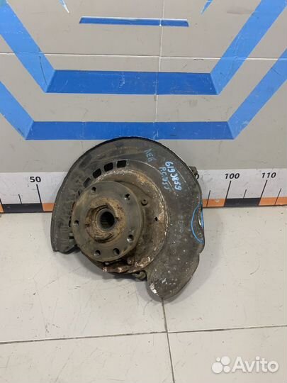 Кулак задний левый