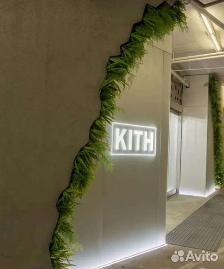 Деревья Фитостены и озеленение интерьера