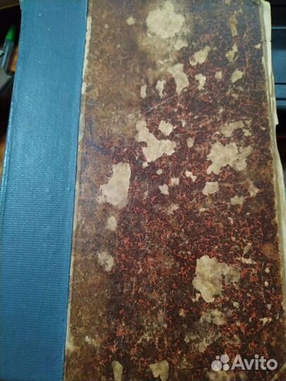 Антиквариат 1905 г. Половой вопрос