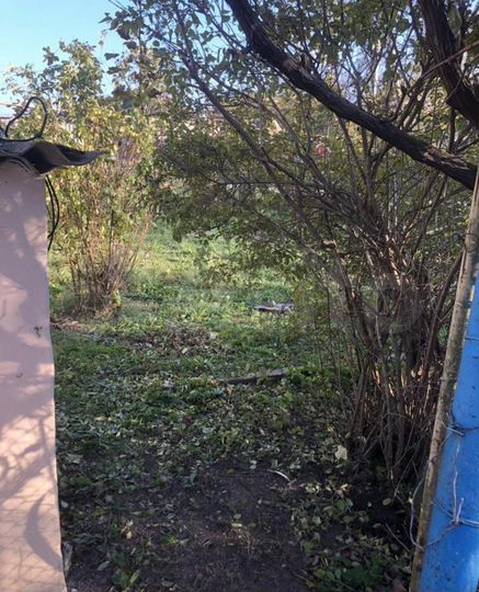 Дом 39,5 м² на участке 10 сот.