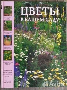 Книга альбом 